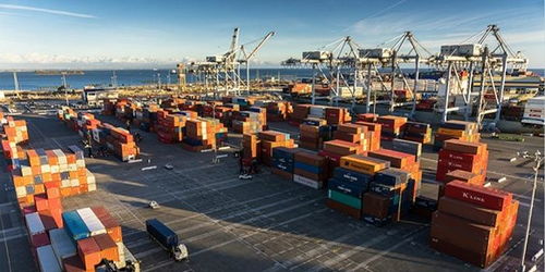 全球貿(mào)易受阻中的破冰之舉 阿里巴巴國際站“春雷計(jì)劃”與線上展會(huì)引領(lǐng)新航向